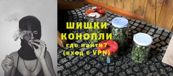 PSILOCYBIN Костерёво