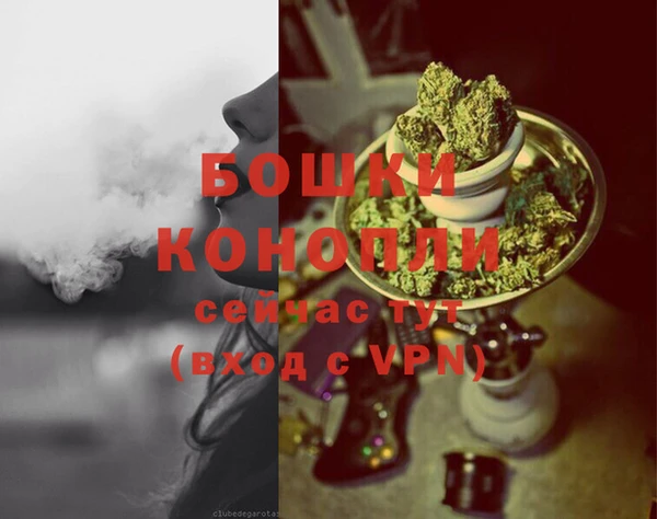 PSILOCYBIN Костерёво